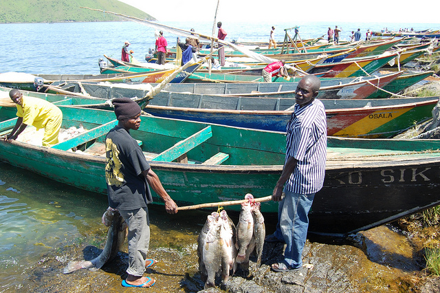 Pescatori a Migingo