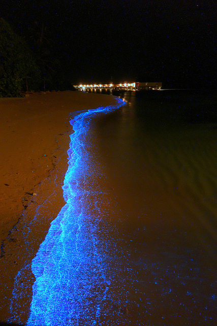 Sabbia Blu Maldive