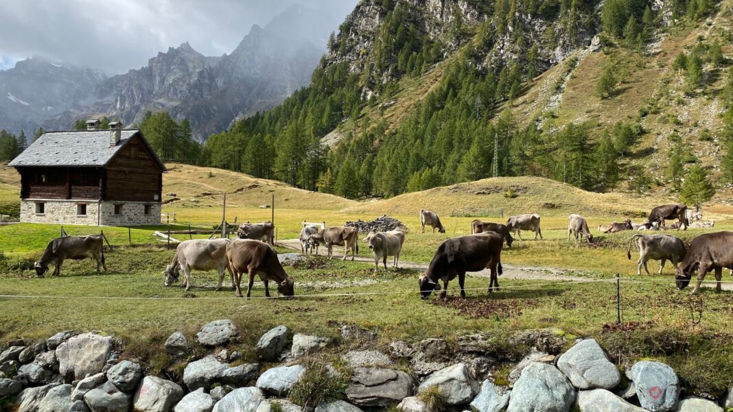 Dove dormire all'Alpe Devero: i 10 migliori alloggi sull'alpe e nei ...
